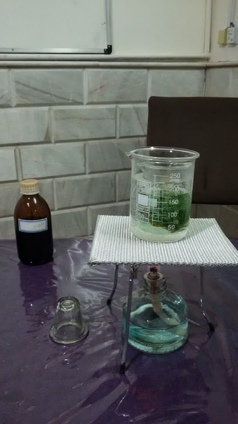 آزمایش بررسی وجود نشاسته در برگ و درک بهتر پدیده غذاسازی برگ (فتوسنتز)
- آشنایی با روش بن ماری